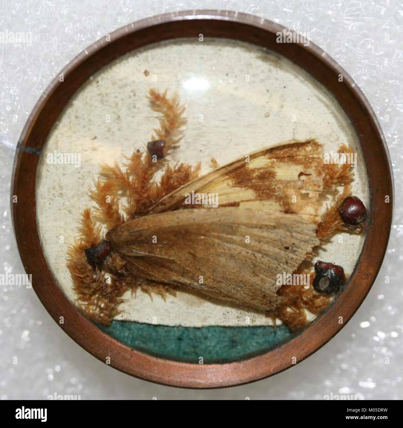 Ce bouton, logé au Metropolitan Museum of Art, est un exemple de vêtements fonctionnels décoratifs des périodes historiques. Fabriqué à partir de métal, il présente des éléments de conception complexes, servant à la fois comme parure et comme partie intégrante du système de fermeture d'un vêtement. Son savoir-faire reflète les normes de la mode à son époque, avec une attention particulière aux détails dans la forme et le motif du bouton. Banque D'Images