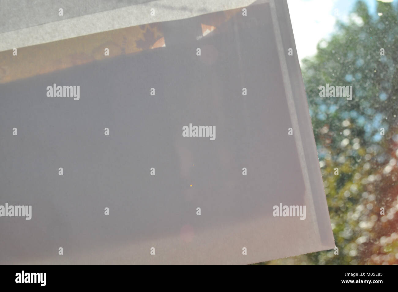 Les billets de 100 $ canadiens font partie de la monnaie officielle du Canada. Connu pour son design mettant en vedette des personnages remarquables de l’histoire canadienne, le billet de 100 $ joue un rôle important dans l’économie canadienne. La monnaie a subi plusieurs changements de conception au fil des ans, avec des caractéristiques de sécurité ajoutées pour empêcher la contrefaçon. Il est largement utilisé partout au Canada pour diverses transactions et est reconnu comme un élément essentiel du système financier canadien. Banque D'Images