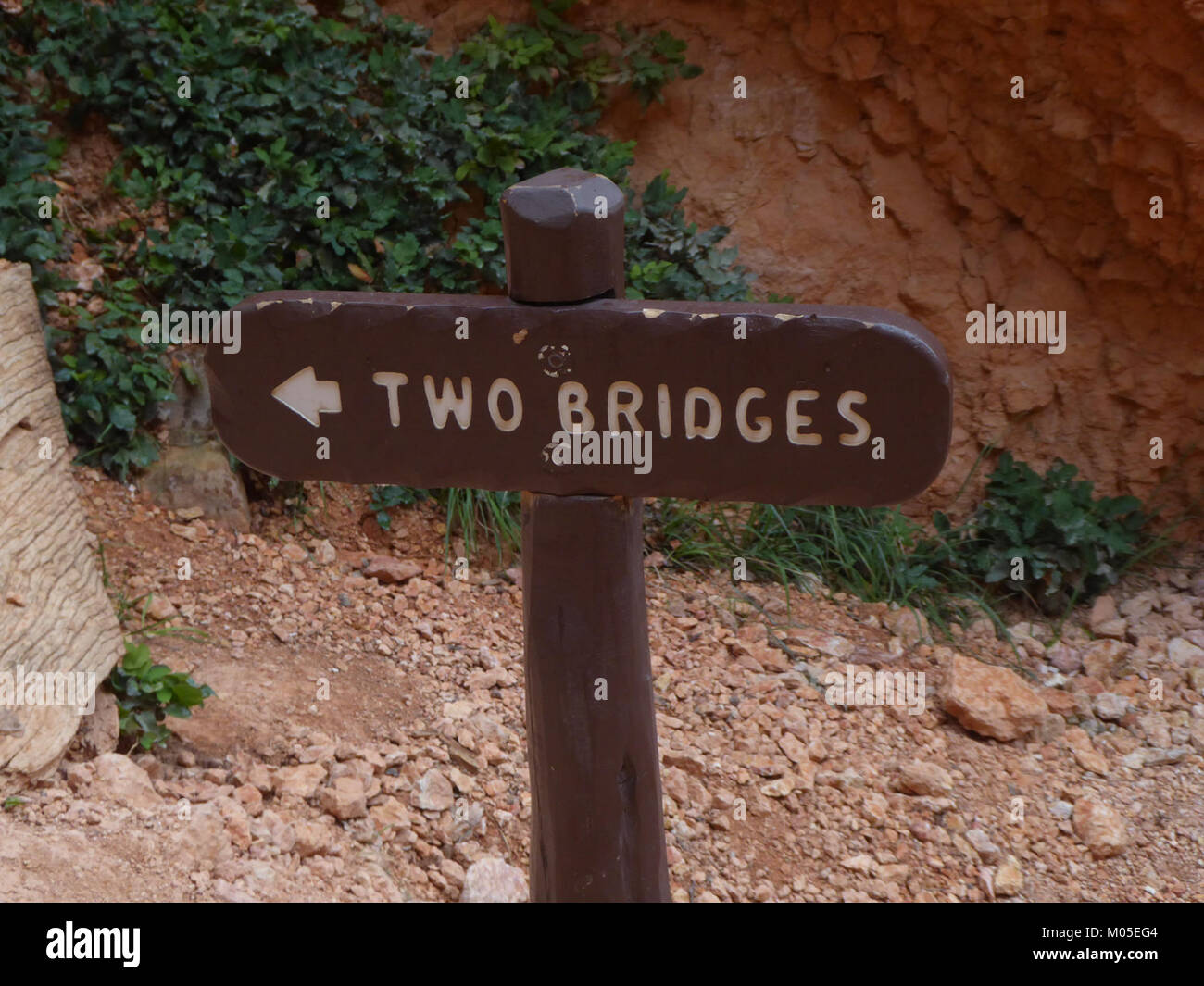 Le Navajo Loop Trail à Bryce Canyon, avec deux ponts, est un itinéraire de randonnée populaire connu pour ses formations rocheuses étonnantes et ses vues à couper le souffle. Banque D'Images