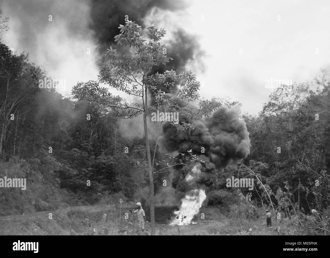 Photographie représentant un feu de forêt (brandhaard) dans une zone boisée. L'image capture l'intense catastrophe naturelle et son impact sur le paysage forestier, reflétant le pouvoir destructeur des feux de forêt. Banque D'Images