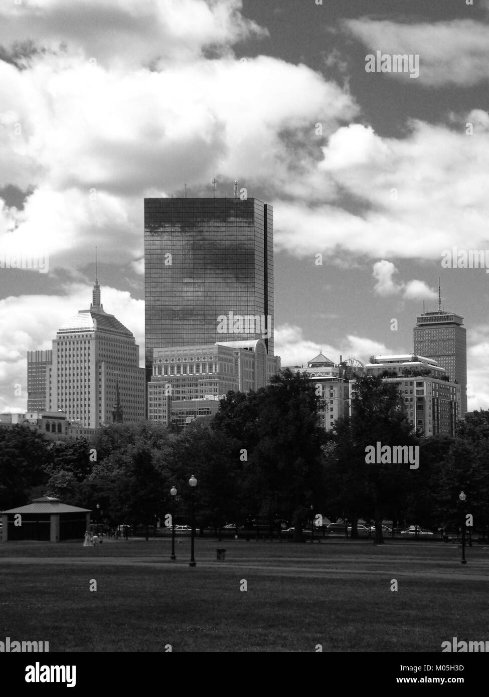 Une photographie en noir et blanc du 1er juillet 2010, montrant l'horizon de Boston Back Bay depuis le Boston Common. Cette image met en évidence le contraste entre le parc naturel et l'horizon moderne de la ville. Banque D'Images