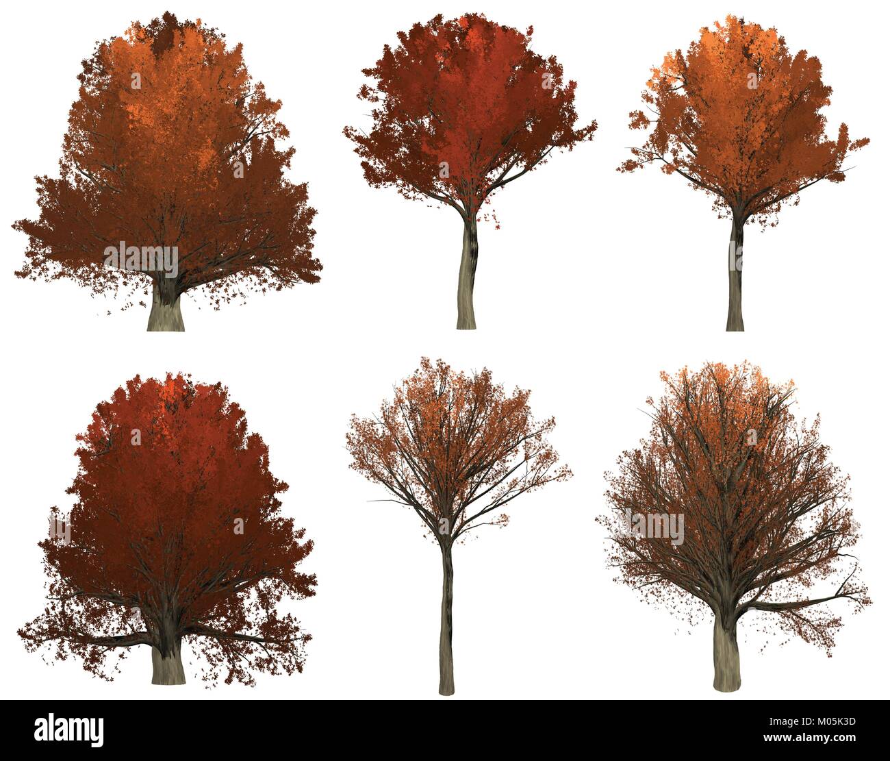 Ensemble de 6 vecteurs d'arbres de chêne peint en brun Illustration de Vecteur