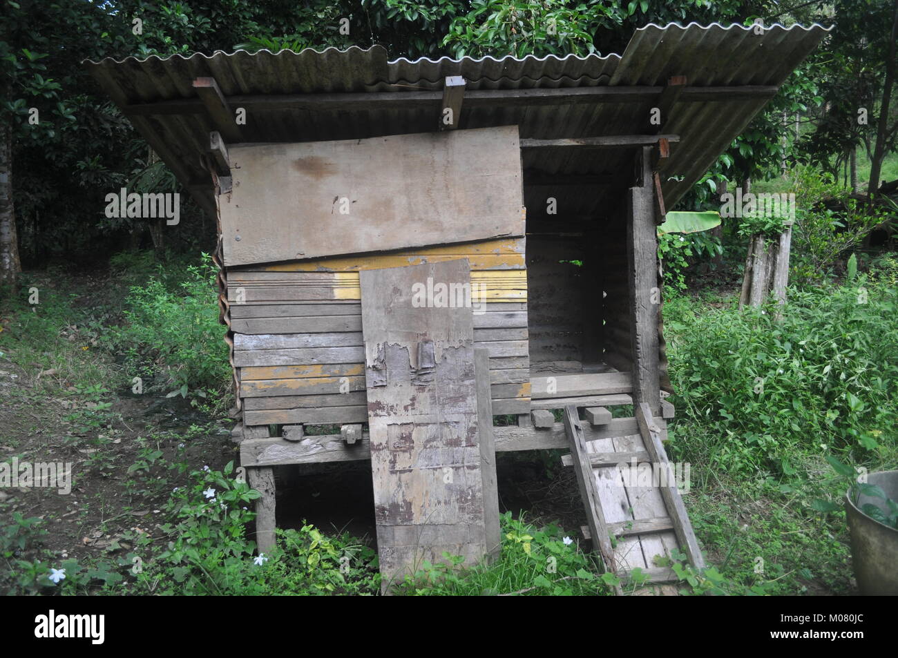 Ancien poulailler Photo Stock - Alamy