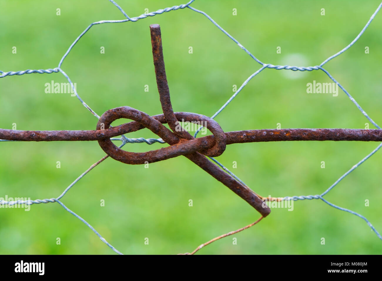 Résumé : Le fil de clôture des bretzels, faite par les paires torsadées noeuds faits dans la clôture rurale. Prises à la vallée de l'EDAN Lookout, en Australie du Sud. Dept peu profondes Banque D'Images