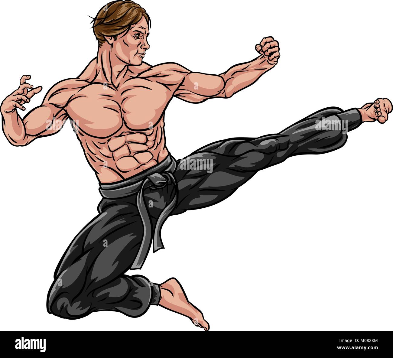 Kung Fu karaté Cartoon coup de volant Illustration de Vecteur