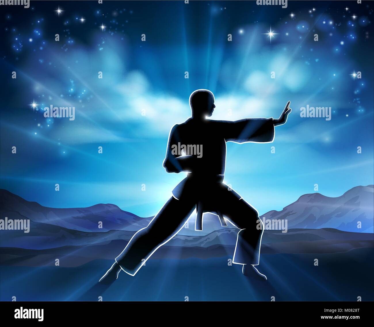 Karate Kung Fu Man Silhouette Concept Illustration de Vecteur