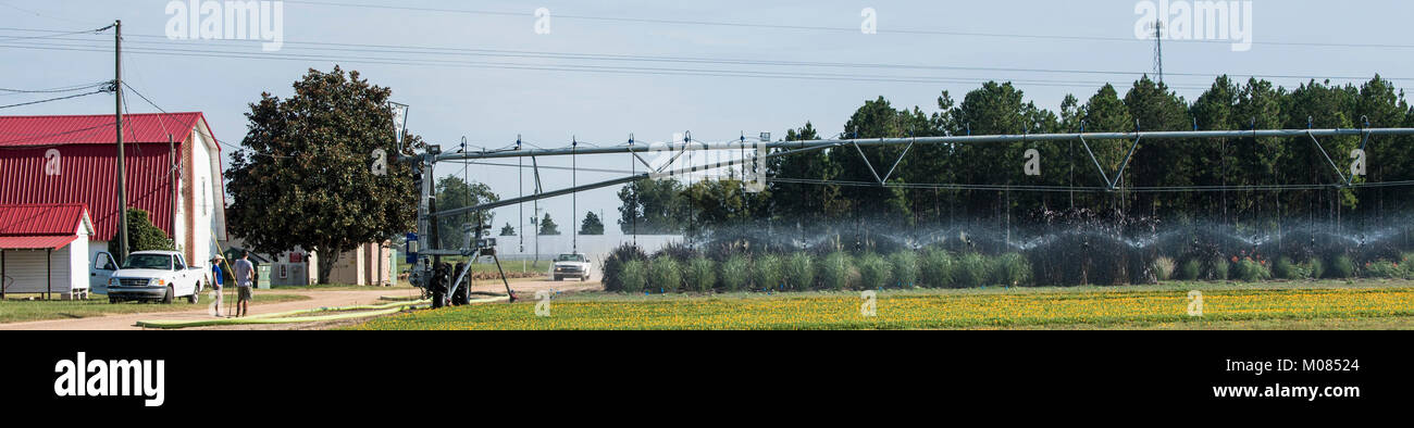 L'irrigation en mouvement linéaire équipées de tubes et diverses têtes de pulvérisation pour réduire la dérive due au vent et les pertes par évaporation, sur le campus de l'Université de Géorgie Tifton Campus, dans la région de Roanoke, Virginia le Vendredi, Août 25, 2017. Cela a généralement 75-90 % d'efficacité. Ce champ de test est en face d'où le secrétaire américain de l'Agriculture Américain Sonny Perdue convoque un groupe de travail interagences sur l'agriculture et la prospérité rurale séance d'écoute et de s'adresser aux membres de la Georgia Farm Bureau dans le campus du centre de conférence. USDA Banque D'Images