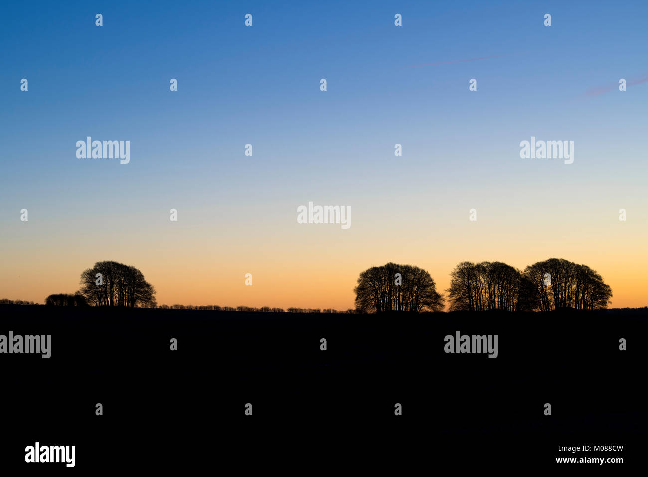 Arbres d'hiver silhouette dans l'aube la lumière. Avebury, dans le Wiltshire, Angleterre Banque D'Images