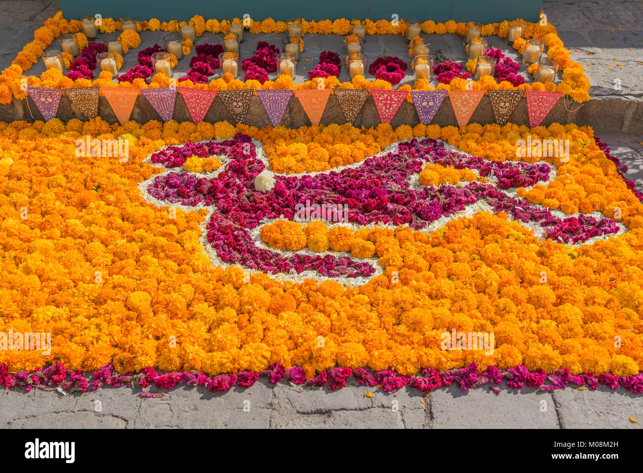 Sur le terrain, un tableau de l'orange et le rouge des fleurs de souci dans la forme d'un corps pour le Jour des morts célébration en San Miguel de Allende, Mexique Banque D'Images