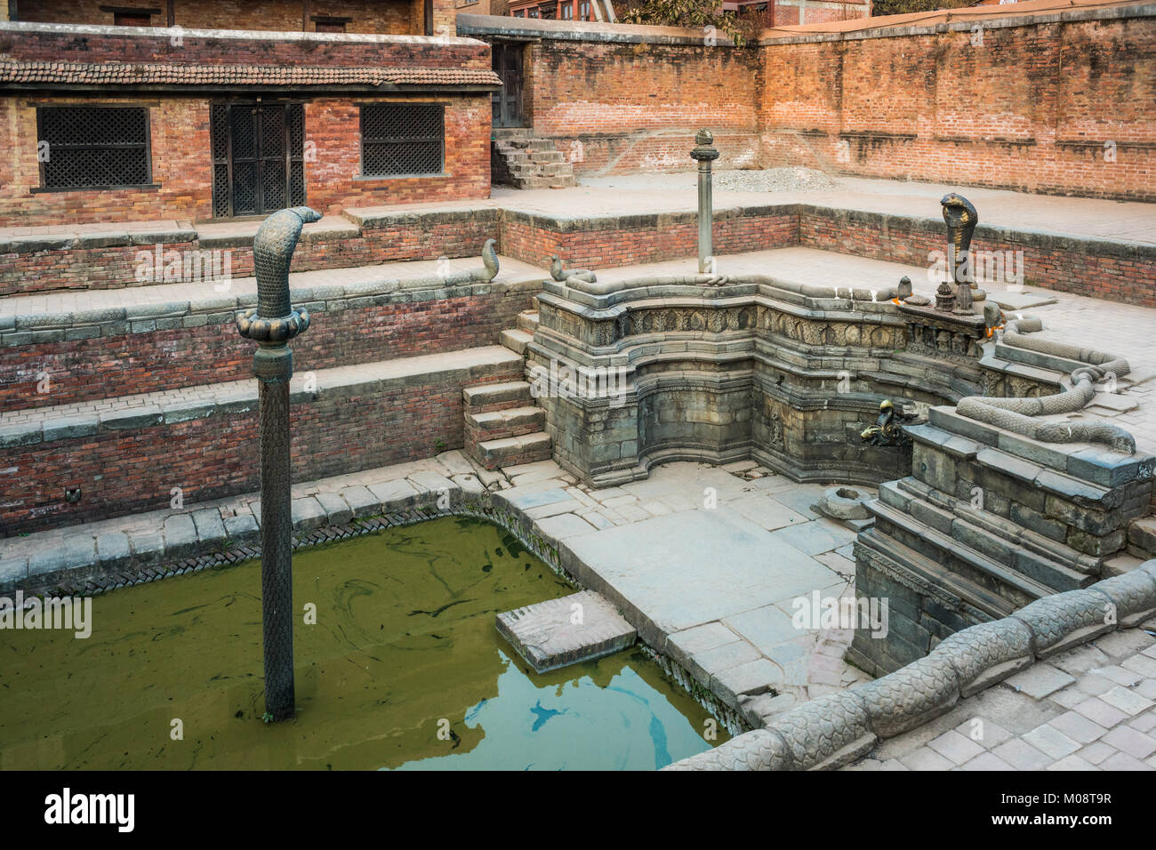 Étang de serpent, Bhaktapur, Népal, Asie. Banque D'Images