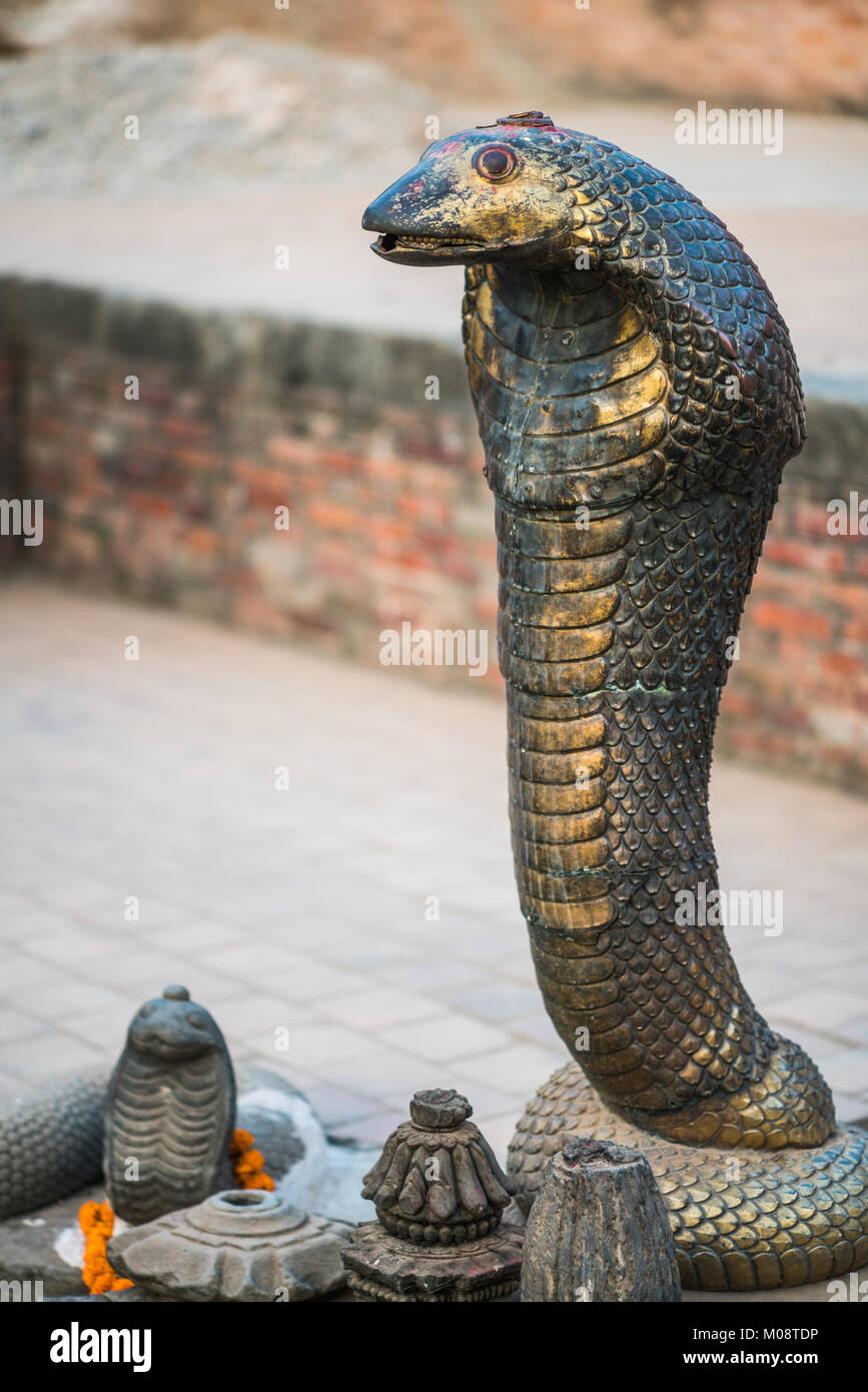 Étang de serpent, Bhaktapur, Népal, Asie. Banque D'Images