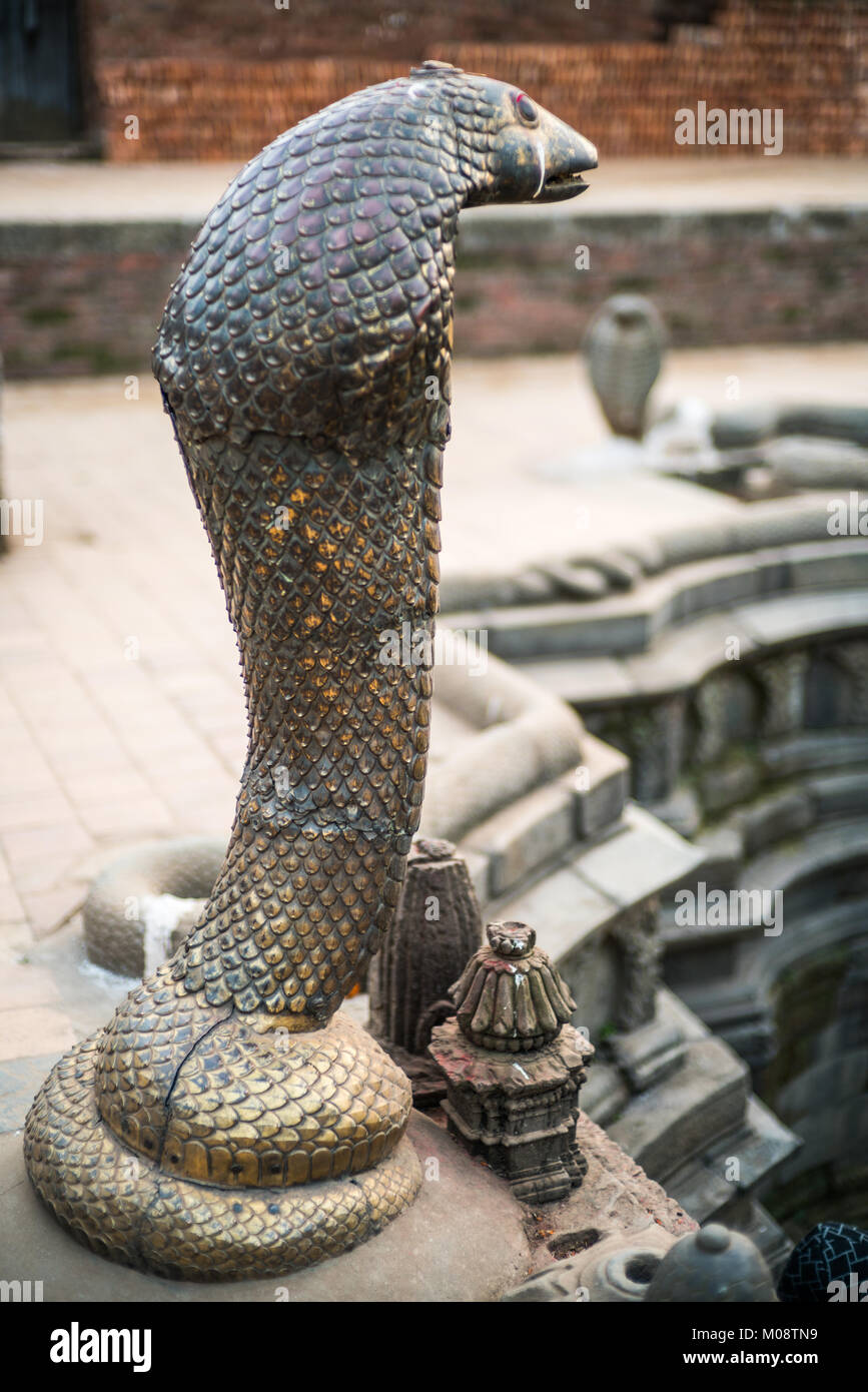 Étang de serpent, Bhaktapur, Népal, Asie. Banque D'Images