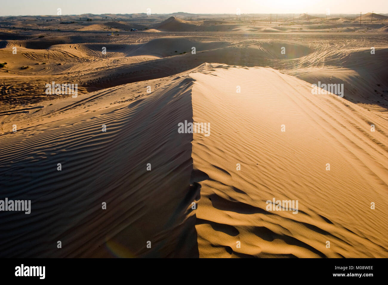 Dunesduring sable coucher du soleil dans le désert aux Emirats Arabes Unis. Banque D'Images