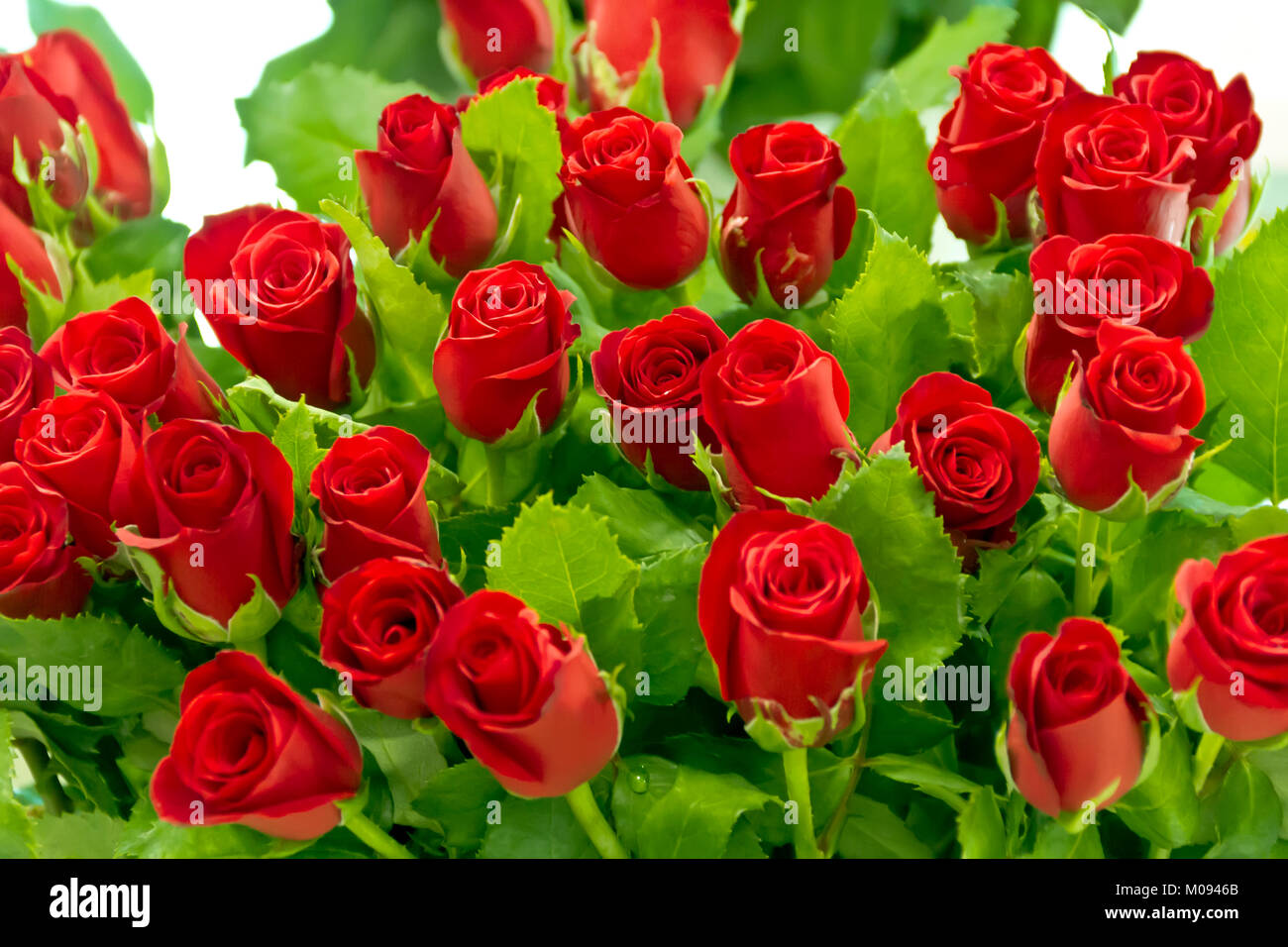 Gros bouquet de roses rouges à la place de marché Photo Stock - Alamy