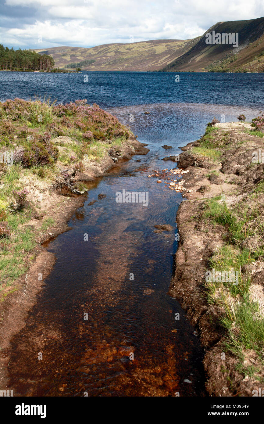 L'un des ruisseaux qui se jettent dans l'extrémité sud du Loch Muick dans Glen Muick sur le Balmoral Estate dans Aberdeenshire Ecosse Banque D'Images L'un des ruisseaux qui se jettent dans l'extrémité sud du Loch Muick dans Glen Muick sur le Balmoral Estate dans Aberdeenshire Ecosse Banque D'Images