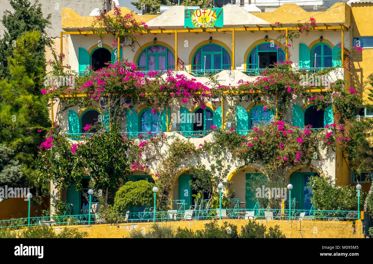 Façade de l'hôtel Hôtel EROFILI de fleurs hibiscus (Hibiscus) à Héraklion, Crète, Grèce, Europe, Agia Galini, Europe, Crète, Grèce, GR, voyage, Banque D'Images