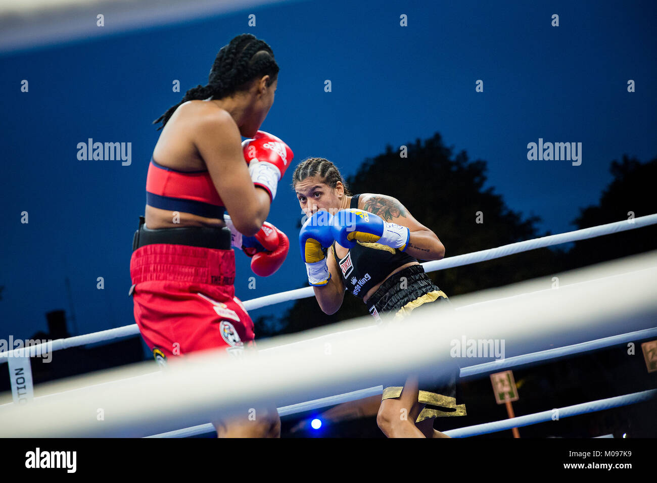 La Norvège, Bergen - 09 juin, 2017. Les boxeurs professionnels norvégienne Cecilia Braekhus (en rouge) et de l'Argentine Erica Farias (en noir) se rencontrent dans la lutte la bataille de Bergen à Bergen. (Photo crédit : Gonzales Photo - Jarle H. MEO). Banque D'Images