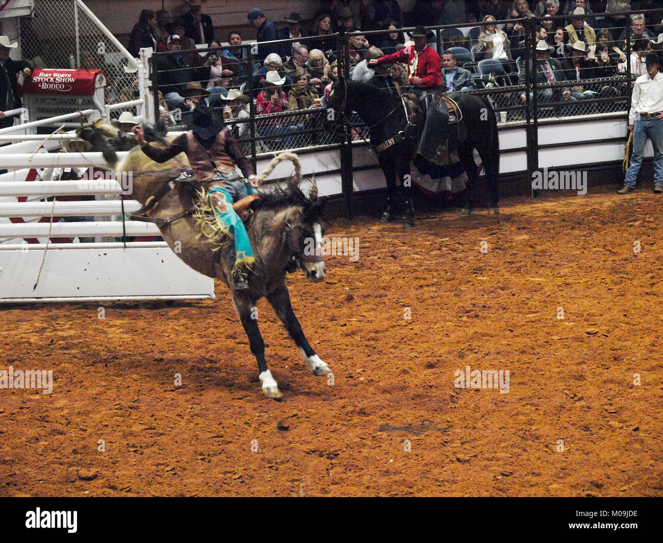 Fort Worth, USA. 19 Jan, 2018. Bareback rider fait concurrence à rester sur la plus longue à l'occasion du 100e anniversaire de l'Fort Worth Stock Show and Rodeo's 100e année. Professional Rodeo Cowboys Association considère ce dernier parmi les 10 événements. Tenue à l'aéroport Will Rogers Memorial Coliseum depuis 1944 et le passage à une plus grande région en 2020. Crédit : J. G. Domke/Alamy Live News Banque D'Images