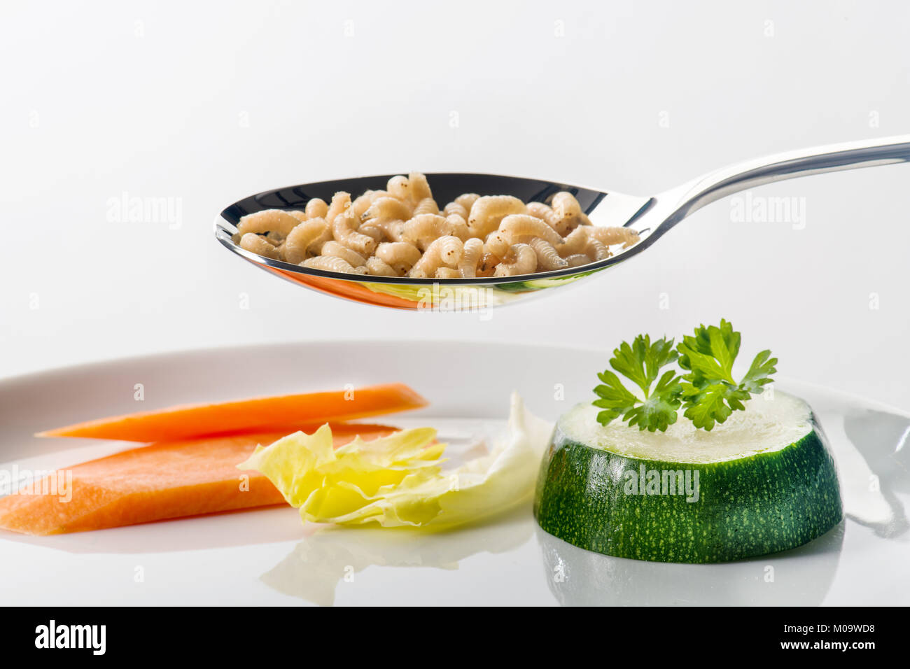 Nouveau : manger la nourriture des larves d'asticots Banque D'Images