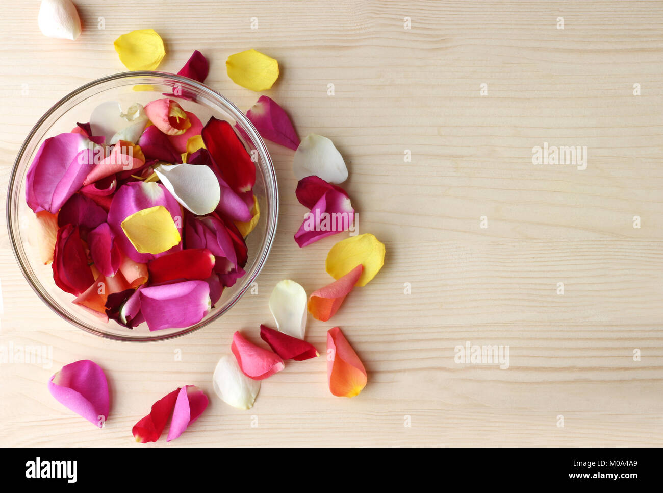 Multicolore des pétales de rose dans un bol en verre et quelques pétales de rose éparpillés sur bois lumineux Banque D'Images