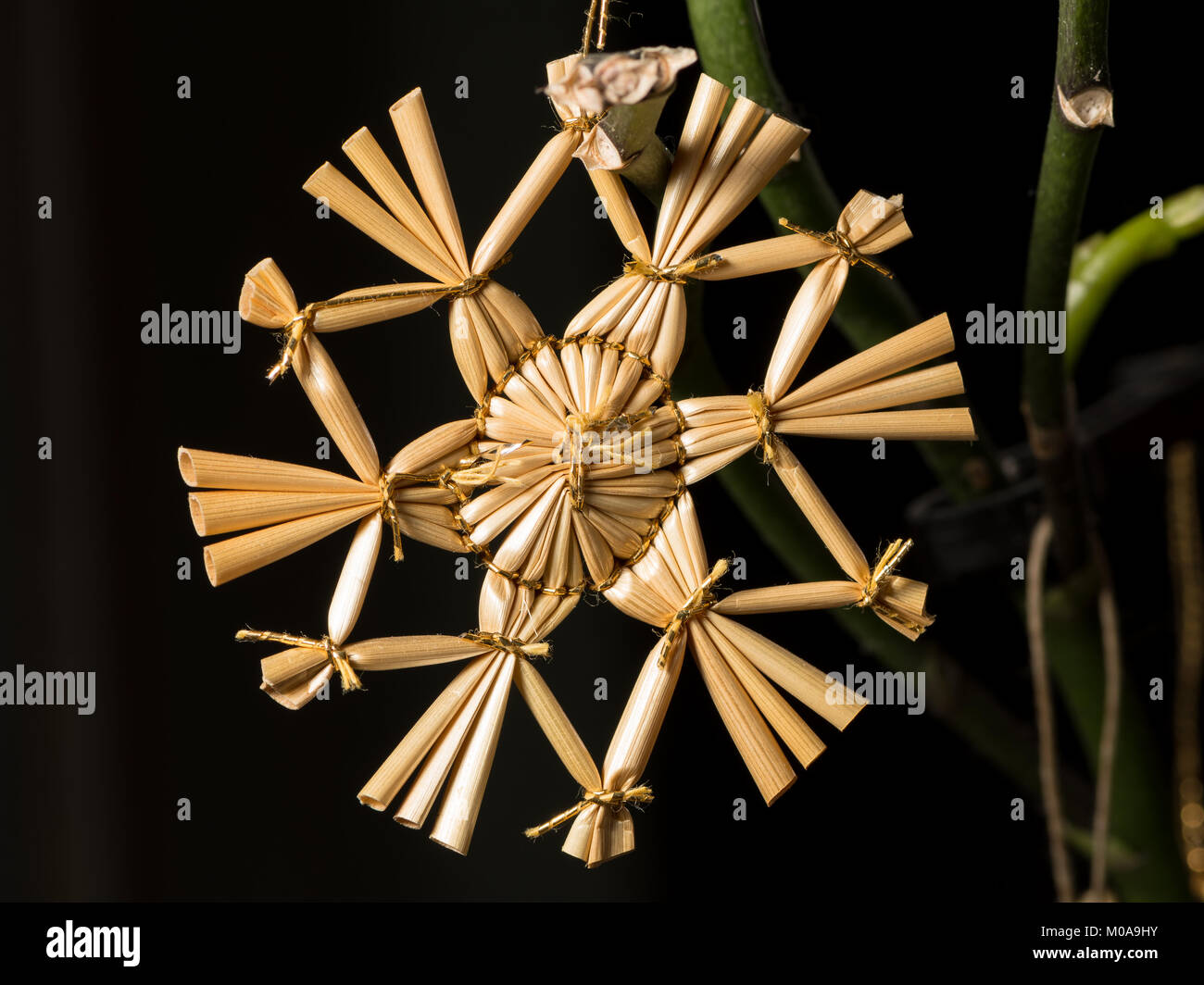 Une étoile de paille accroché à l'arbre de Noël Banque D'Images