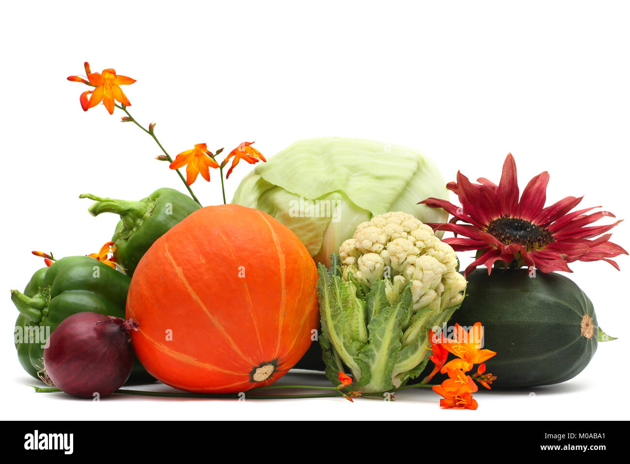 Légumes et fleurs d'automne isolé sur fond blanc Banque D'Images
