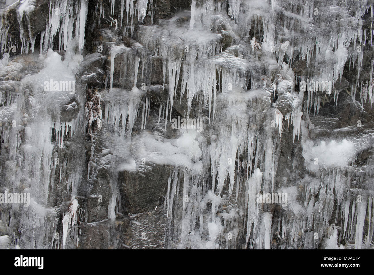 Image d'hiver d'un mur de glace ou de rocher avec faucilles de glace. Banque D'Images