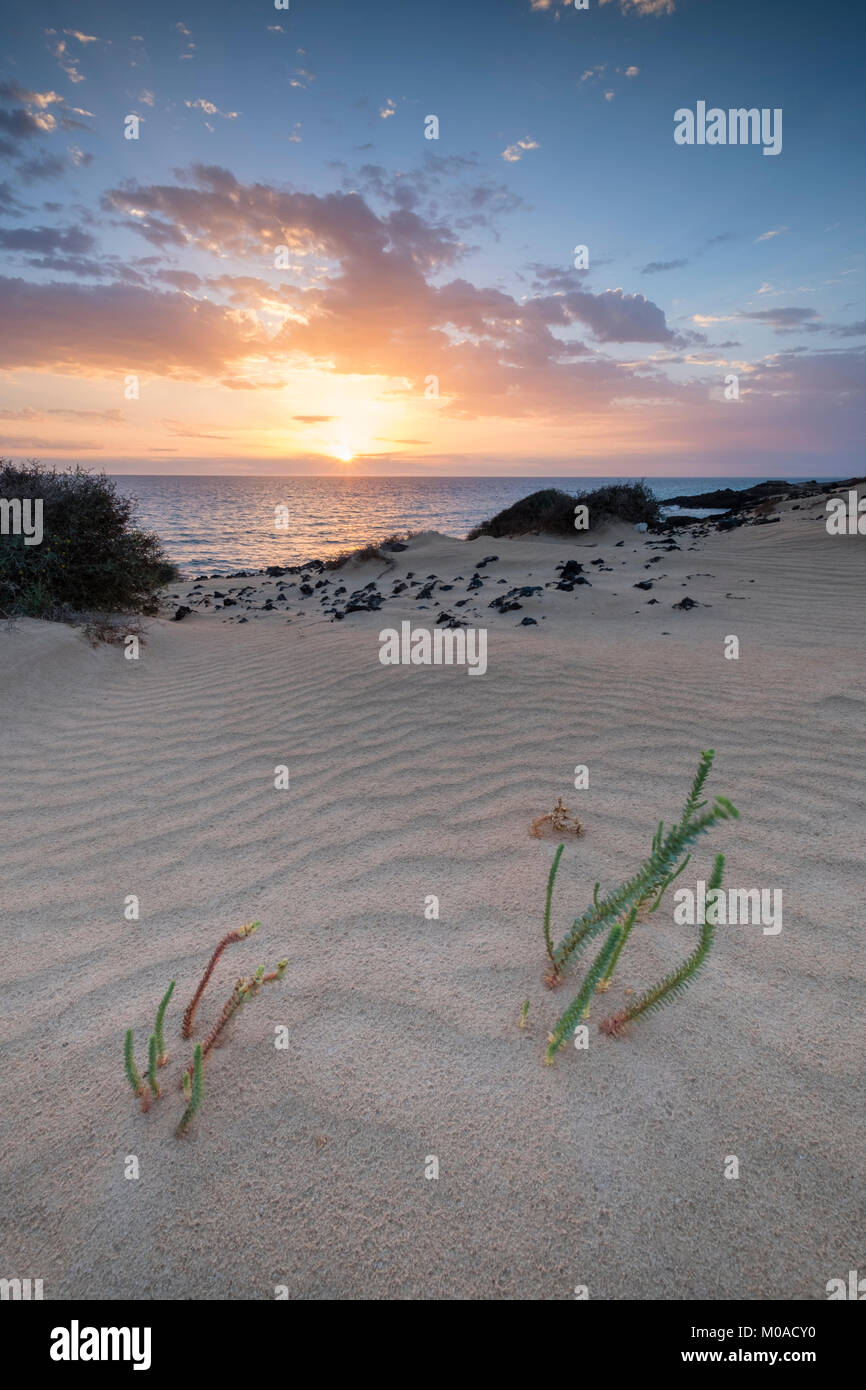 Lever du soleil, la côte, Dunes El Jable, Las Dunas de Corralejo, Parque Natural de Corralejo, Fuerteventura, Îles Canaries, Espagne Banque D'Images