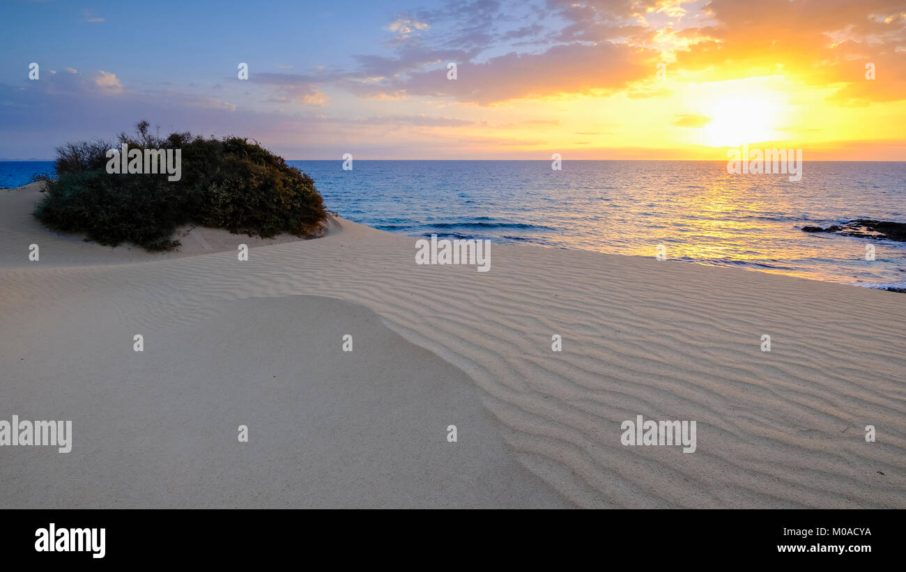 Lever du soleil, la côte, Dunes El Jable, Las Dunas de Corralejo, Parque Natural de Corralejo, Fuerteventura, Îles Canaries, Espagne Banque D'Images