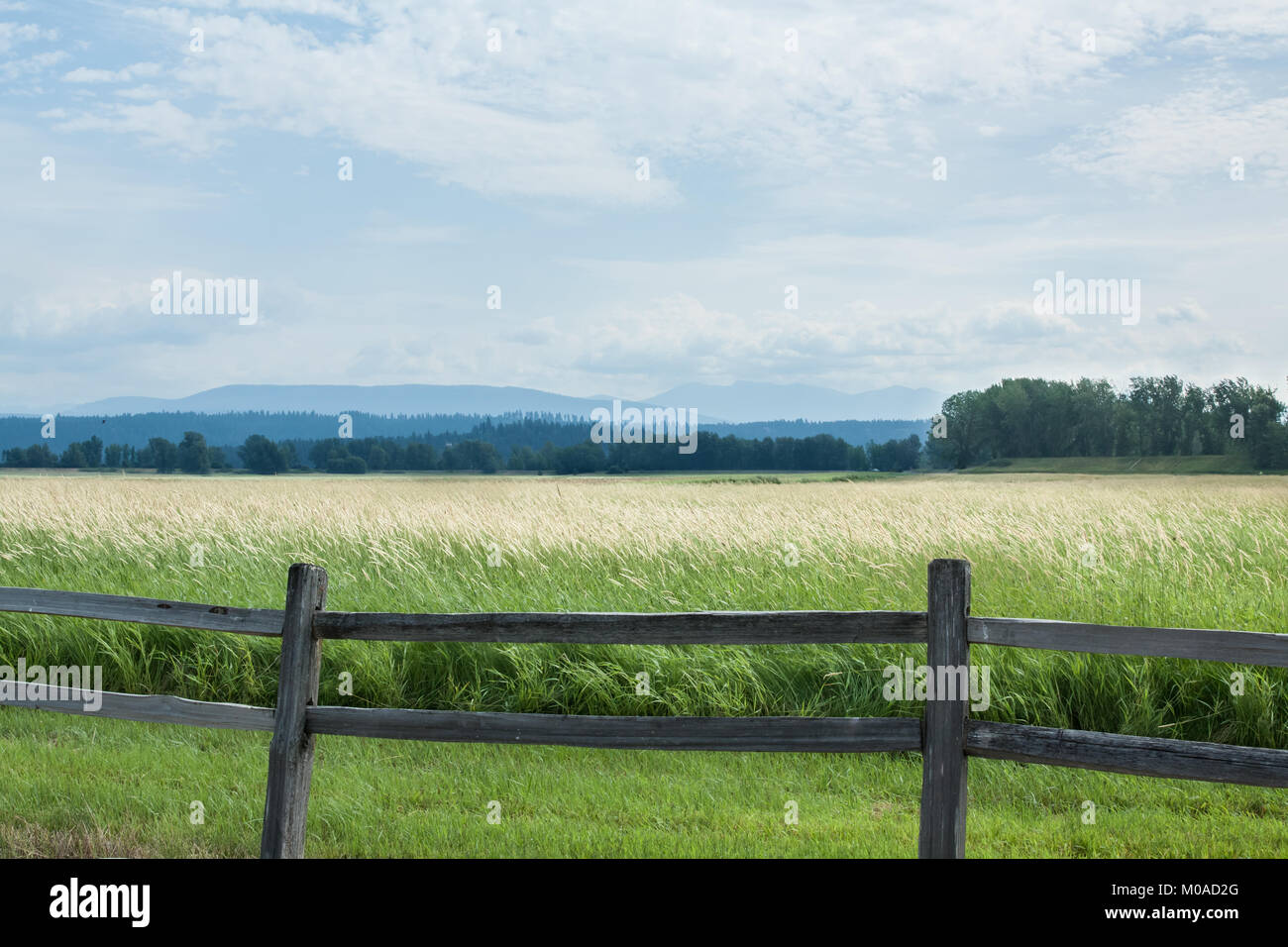 Vues sur les montagnes Selkirk dans le nord de l'Idaho Banque D'Images