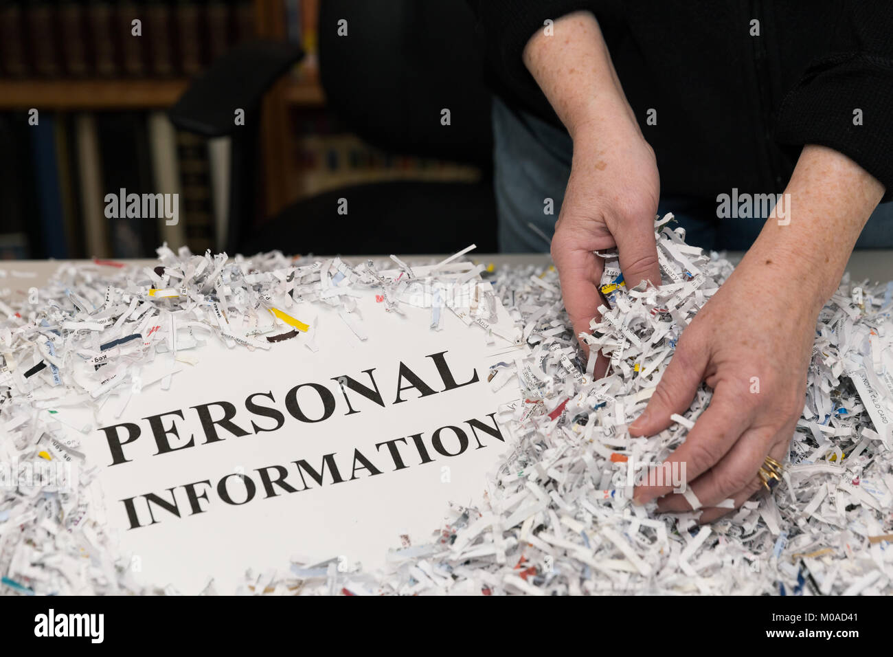 Une femme a les mains de papier déchiquetage montre avec les mots des informations personnelles sur une page râpé à côté d'elle. Banque D'Images