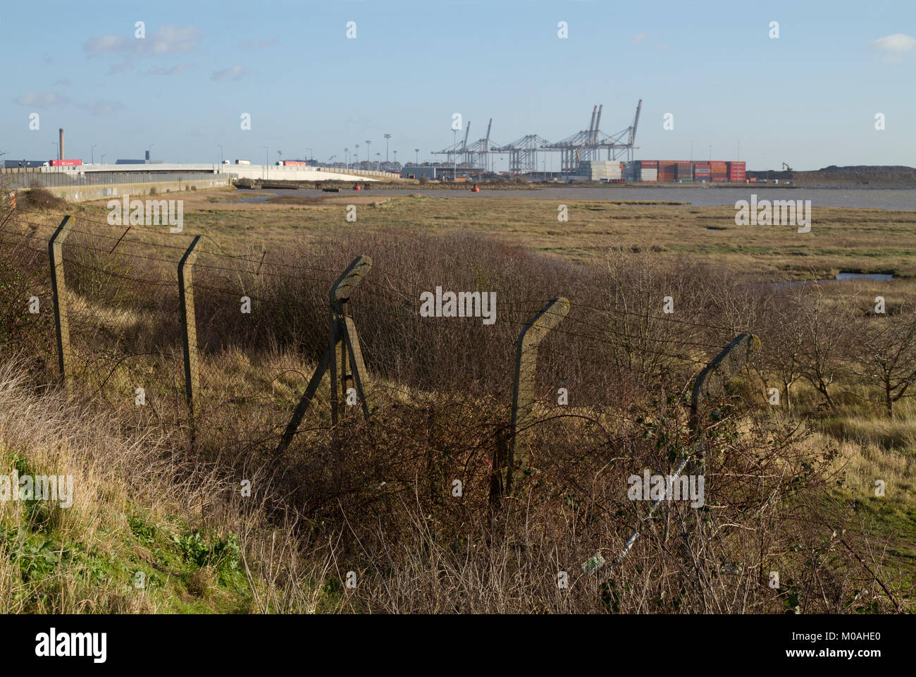 DP World London Gateway terminal à conteneurs en eau profonde vue de la Réserve Naturelle du quai de Stanford à Thurrock, Essex. Banque D'Images