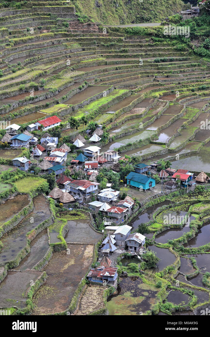 Le village de Batad cluster-partie de les rizières en terrasses des cordillères des Philippines Site du patrimoine mondial de l'Unesco dans la catégorie des paysages culturels. Banau Banque D'Images