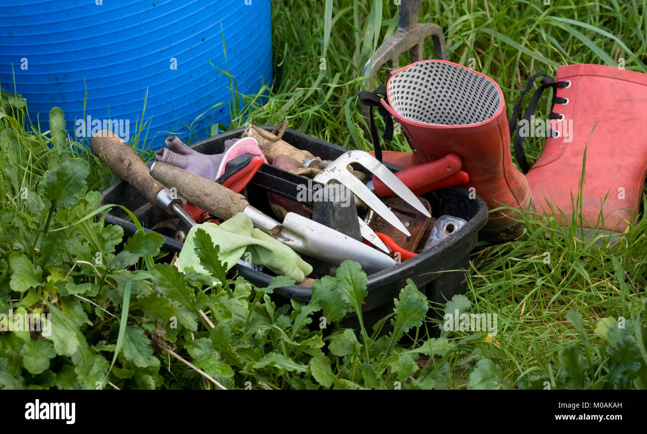 Outils de jardinage dans le jardin. Banque D'Images