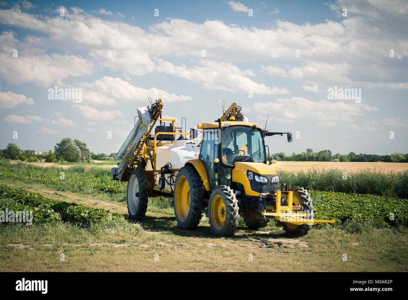 Tracteur jaune oin champs sur journée d'été Banque D'Images