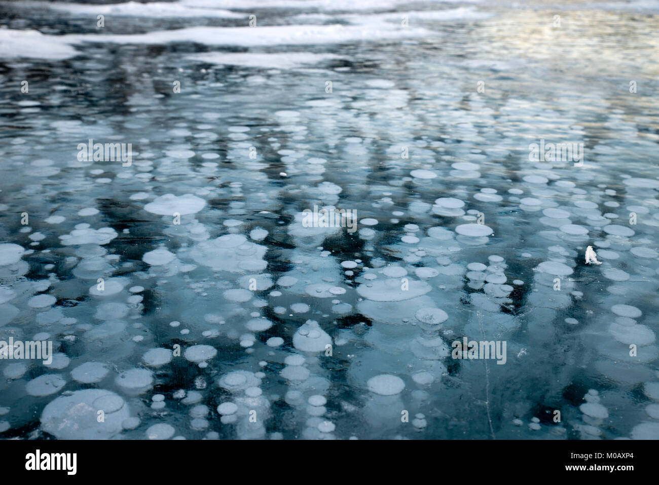 Le Lac Abraham avec bulles de méthane gelé Banque D'Images