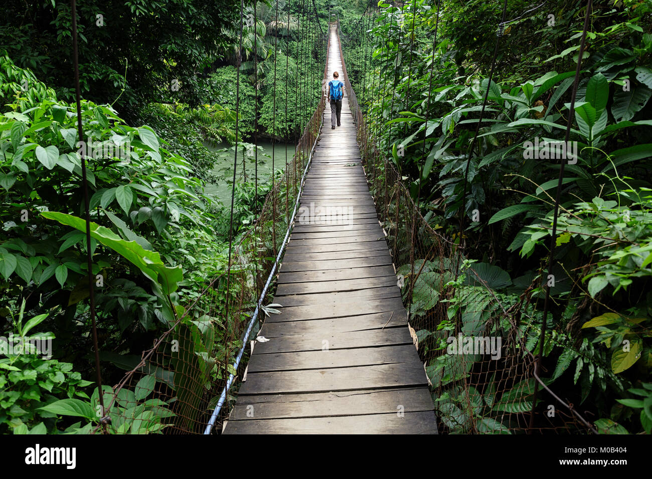 Le pont suspendu en parc national de Gunung Leuser de Tangkahan, Sumatra, Indonésie Banque D'Images