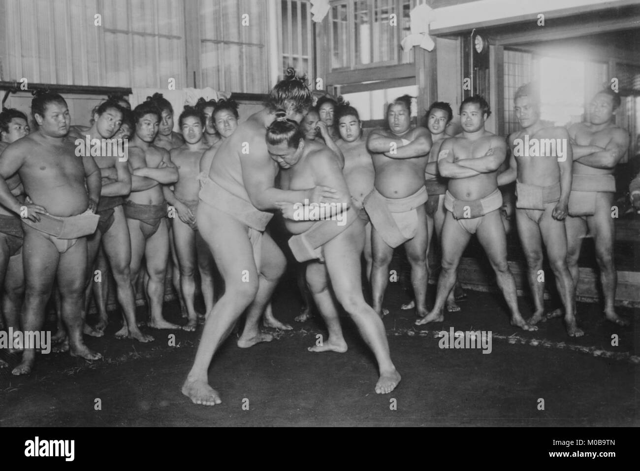 Lutteurs de sumo Banque D'Images