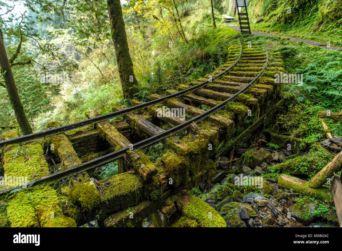 Les voies de chemin de fer abandonnée à Yilan, Taiwan Banque D'Images