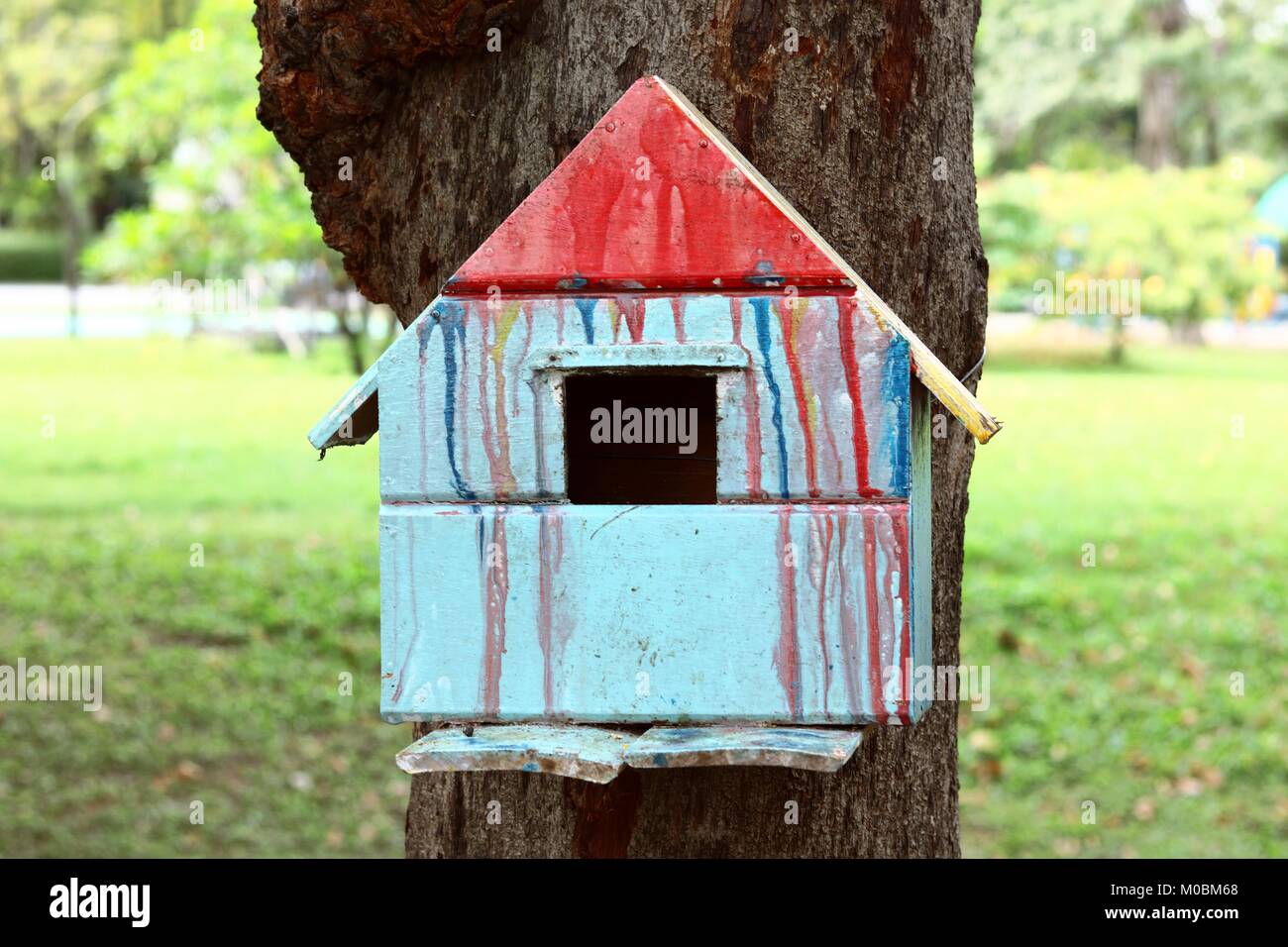 Maison d'oiseau coloré sur l'arbre Banque D'Images