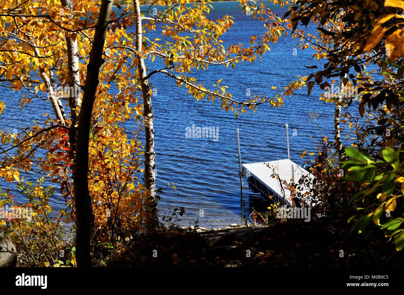 Regardant vers le bas sur le quai sur le lac, à travers le changement de couleur les feuilles d'automne Banque D'Images