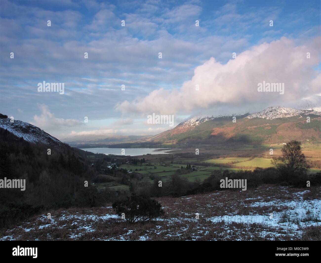 Vue de Whinlatter Pass vers le lac Bassenthwaite et le groupe Skiddaw, Parc National de Lake District, Cumbria, Royaume-Uni Banque D'Images