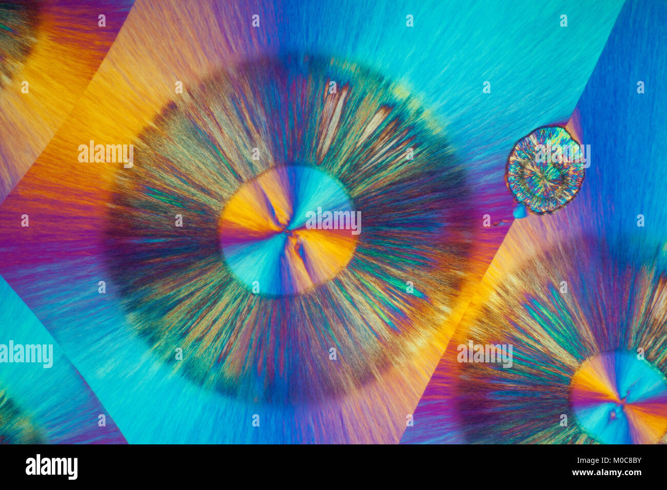 L'acide benzoïque, microphotographie à polarisation croisée, chimiques diapositive fonte fixées. Banque D'Images