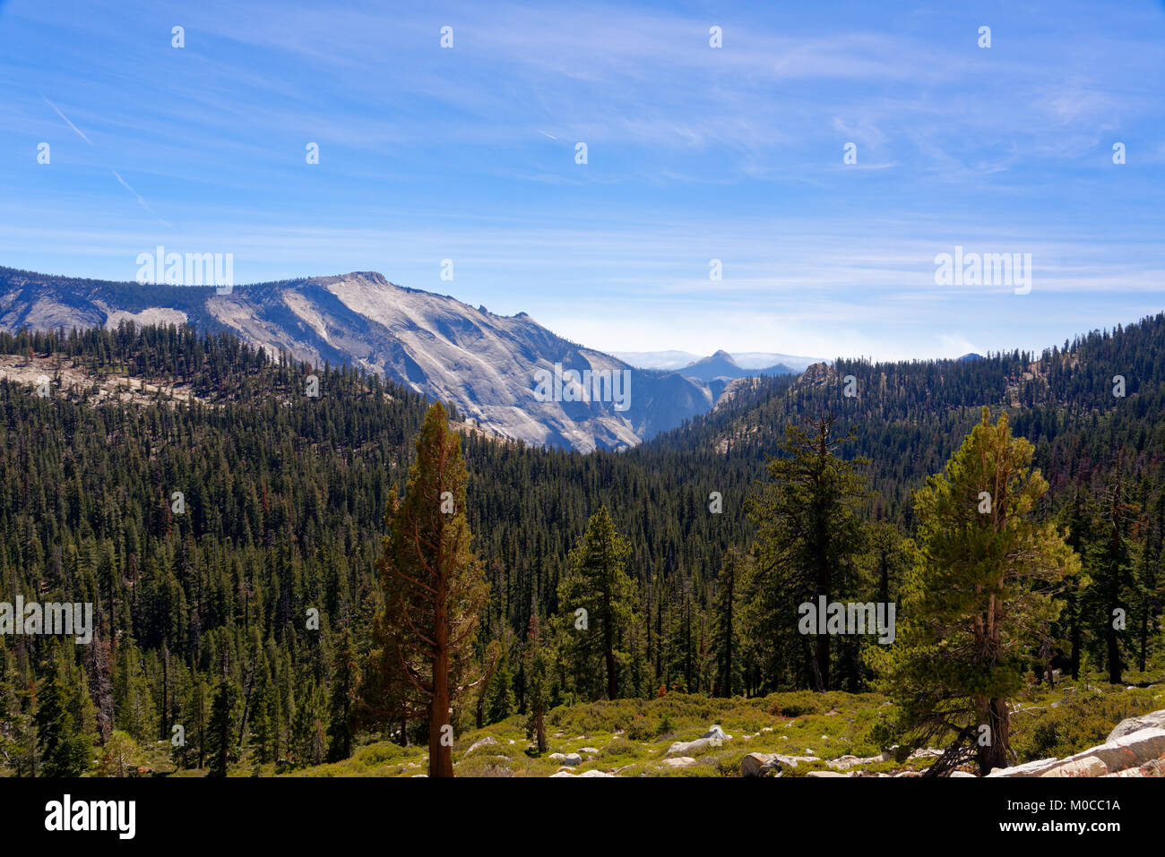 Point d'Olmsted dans Yosemite National Park, Californie Banque D'Images