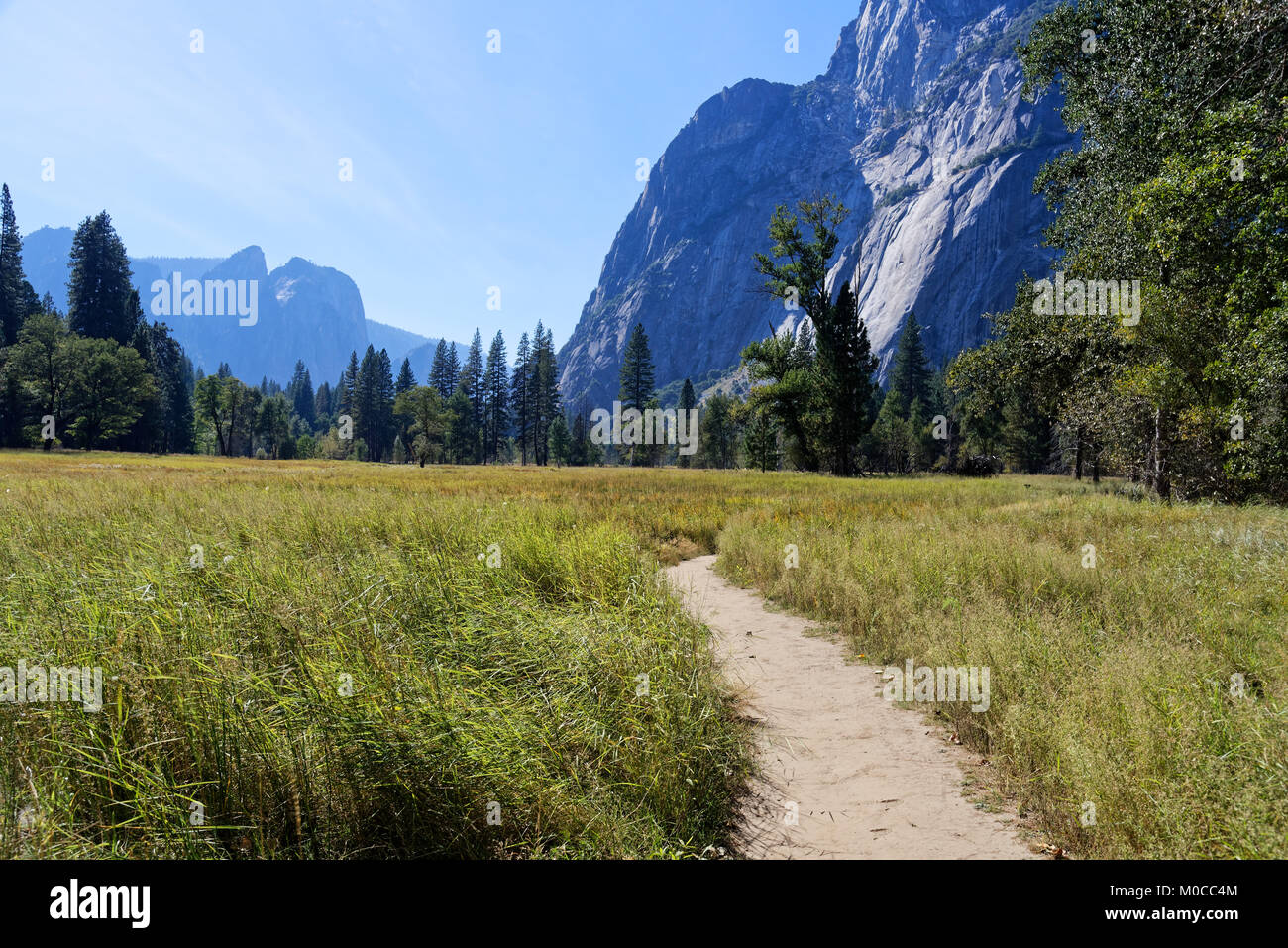Sentier qui traverse la vallée Yosemite Banque D'Images