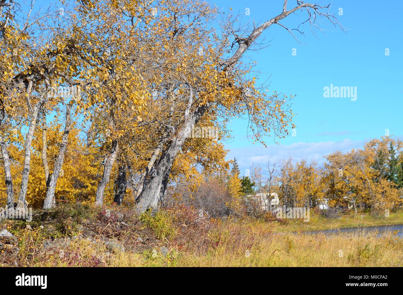 Les feuilles changent de couleurs à la lake comme l'été arrive à son terme jusqu'à l'année prochaine Banque D'Images