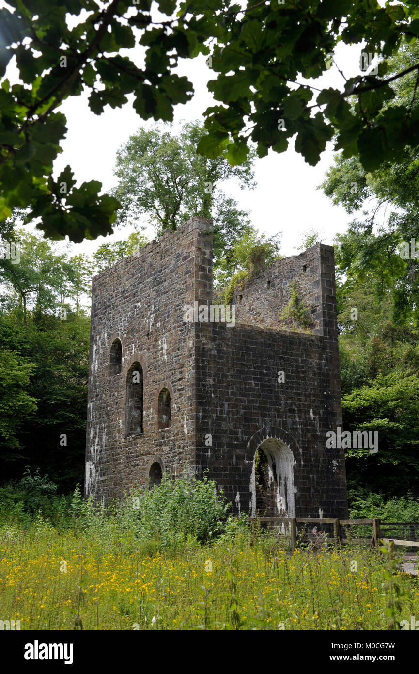 Le moteur de la construction de maisons à Cornouailles les vestiges de la mine de charbon de la mine de Grove à Stepaside, près de Saundersfoot, Pembrokeshirew, Pays de Galles, Royaume-Uni. Banque D'Images