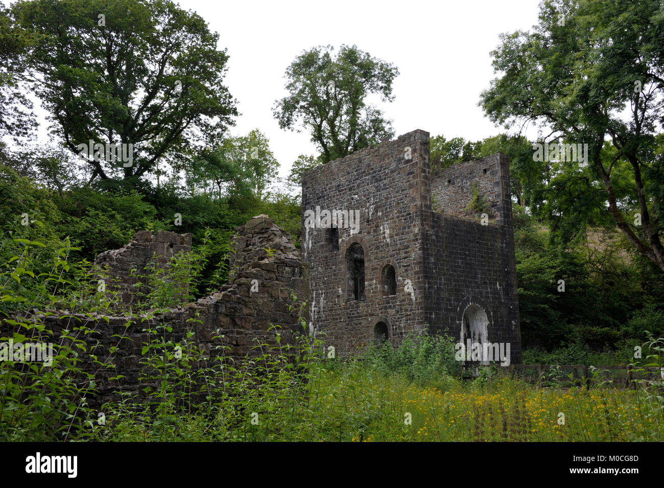 Le moteur de la construction de maisons à Cornouailles les vestiges de la mine de charbon de la mine de Grove à Stepaside, près de Saundersfoot, Pembrokeshirew, Pays de Galles, Royaume-Uni. Banque D'Images