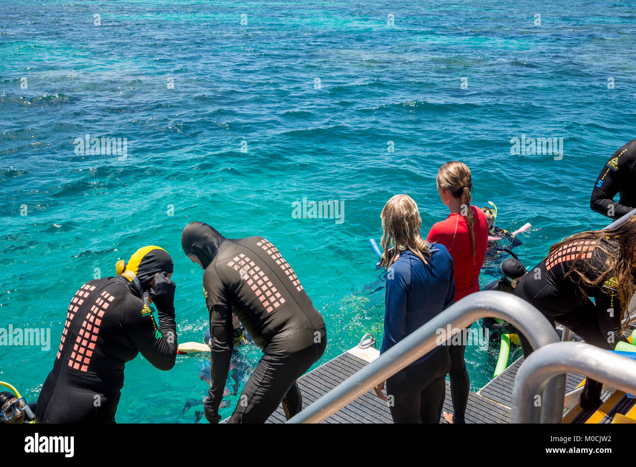 Grande Barrière de Corail, les gens se préparent à faire de la plongée avec tuba et de la plongée au large de l'arrière d'un bateau de tourisme,Queensland, Australie Banque D'Images
