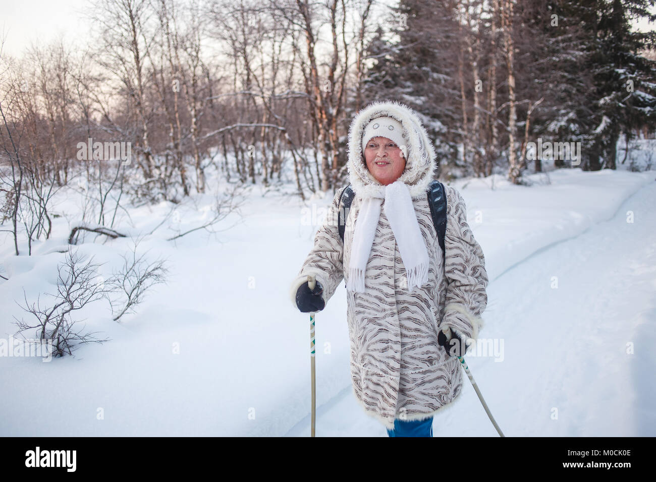 Sport d'hiver - la marche nordique. Senior woman randonnées en forêt froide. Ruddy heureux visage, en favorisant la circulation sanguine . Le Cardio-training Banque D'Images